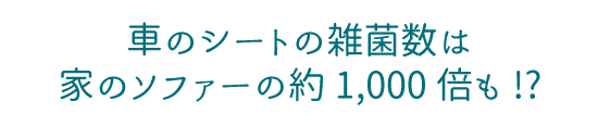 車のシートの雑菌数は家のソファーの約1,000倍も!?