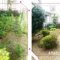 【清掃例】夏の庭 剪定2（大分市のハウスクリーニングM&m）