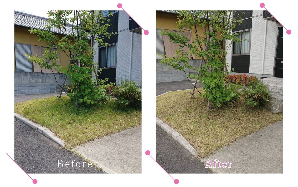【清掃例】夏の庭 除草・草刈り2