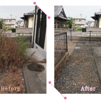 【清掃例】夏の庭 除草・草刈り3（大分市のハウスクリーニングM&m）