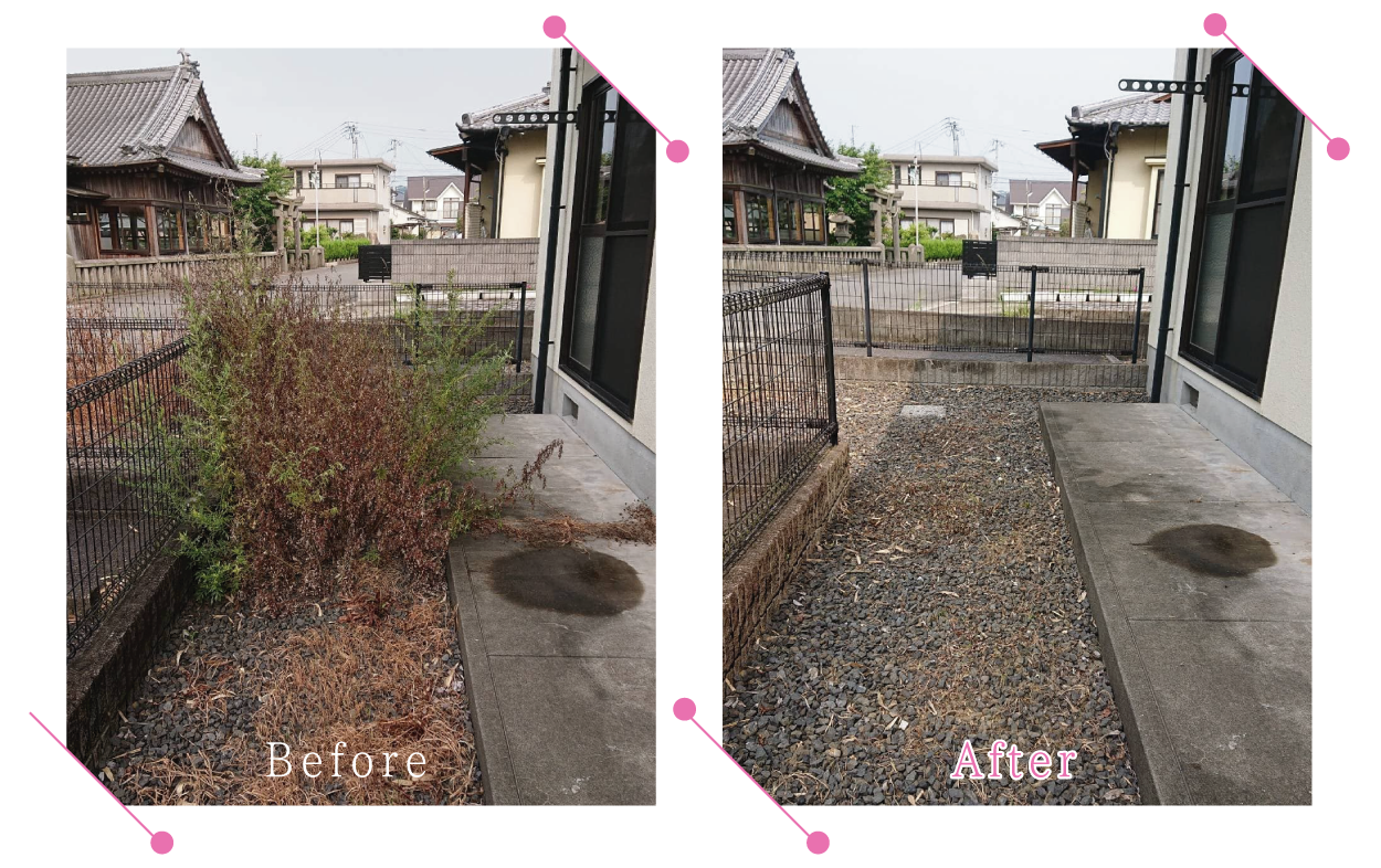 【清掃例】夏の庭 除草・草刈り3