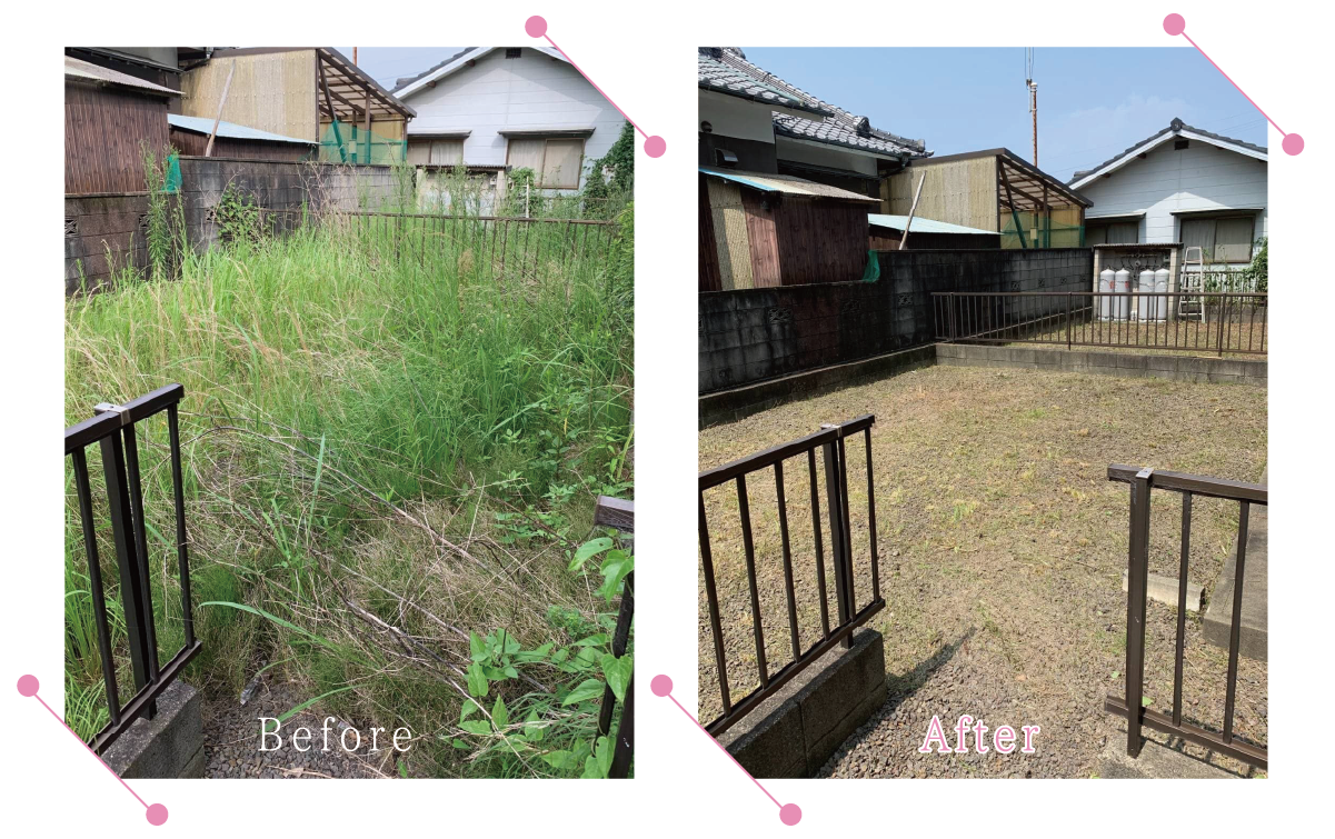 【清掃例】敷地 草刈り２