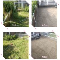 【清掃例】庭の除草作業（大分市のハウスクリーニングM&m）